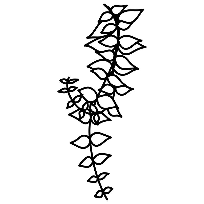 simple Wildblume
