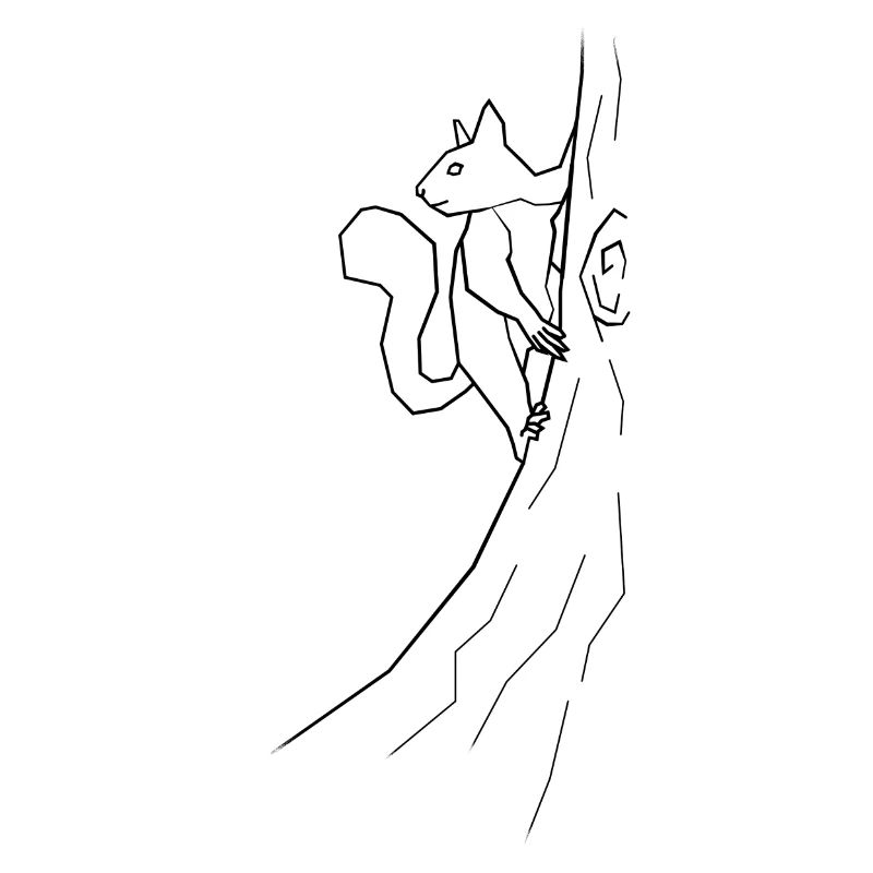 squirrel