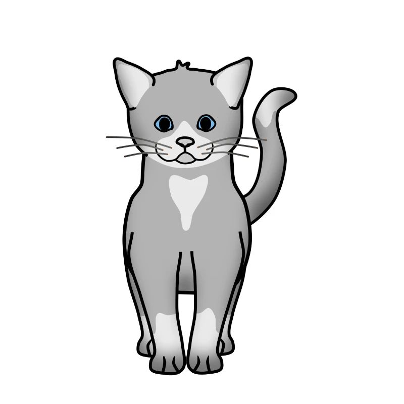 cat 1