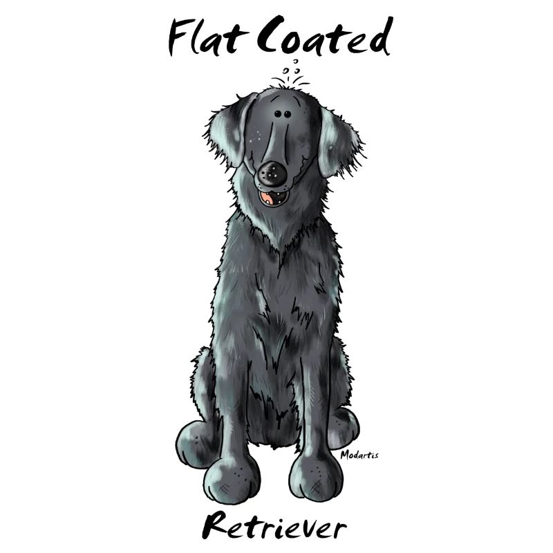 Funny Flat Coated Retriever