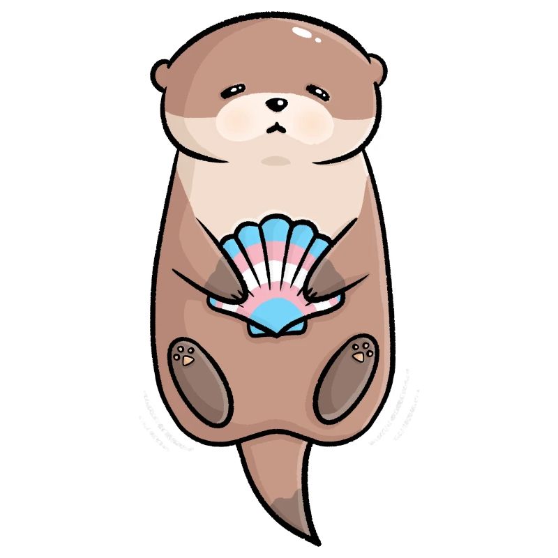 Douce loutre coquille Trans Queer drapeau drapeau LGBTQ