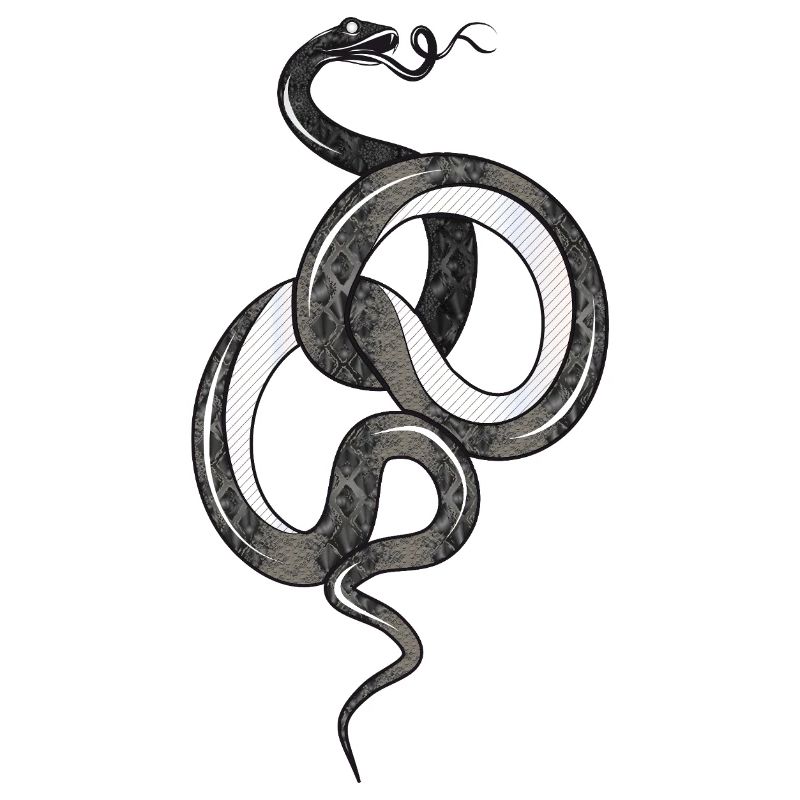 Fascinating snake in black glossy structure