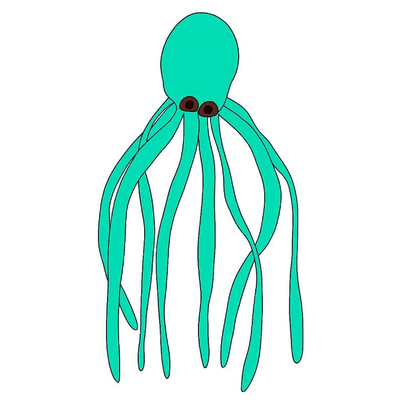 Octopus turquoise