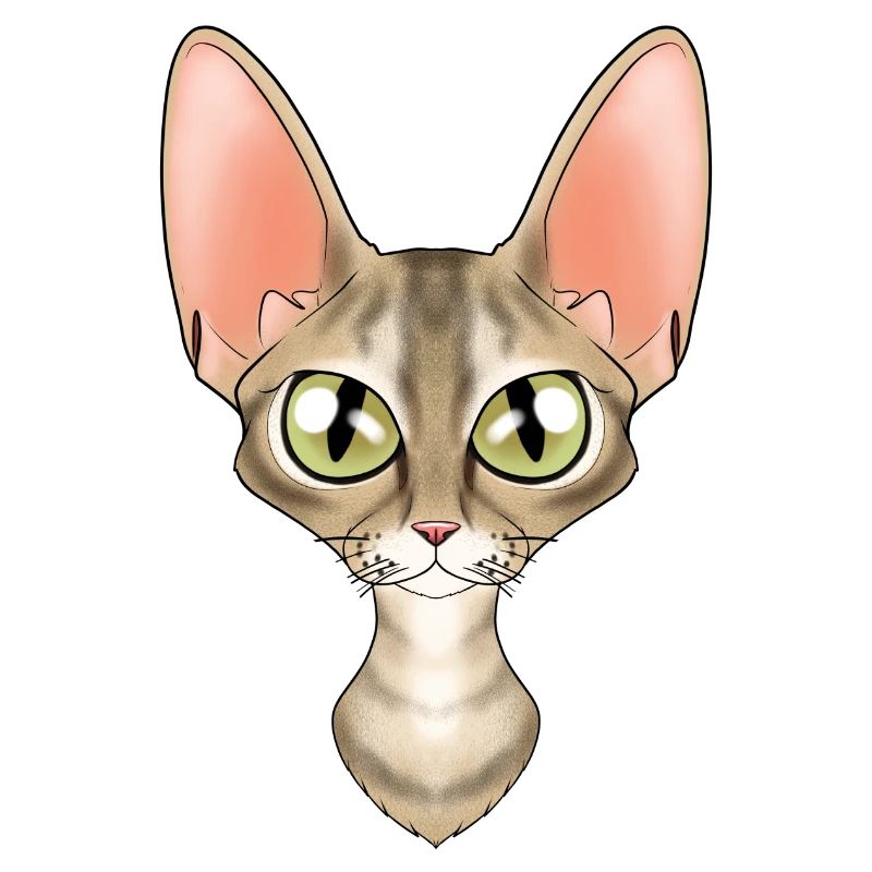 Cat Lover I Cat Face I Devon Rex Cat