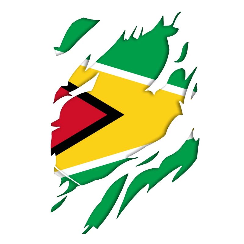 Drapeau déchiré du Guyana