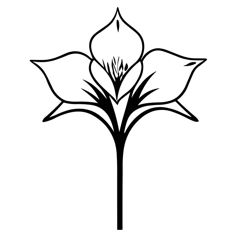 fleur