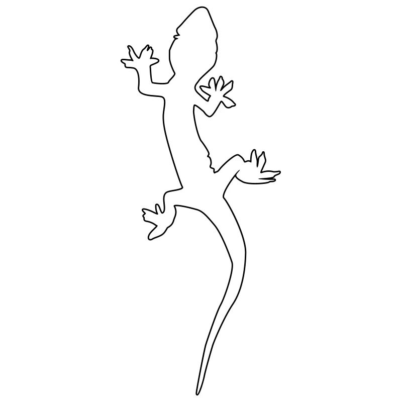 gecko echse silhouette