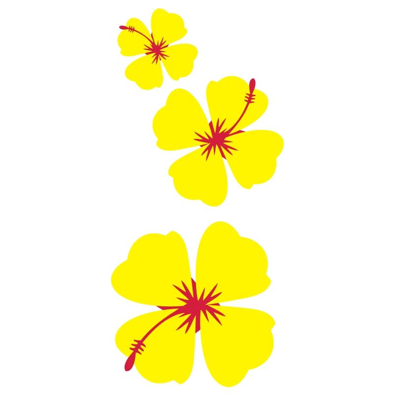 simples de trois fleurs d'hibiscus tropical