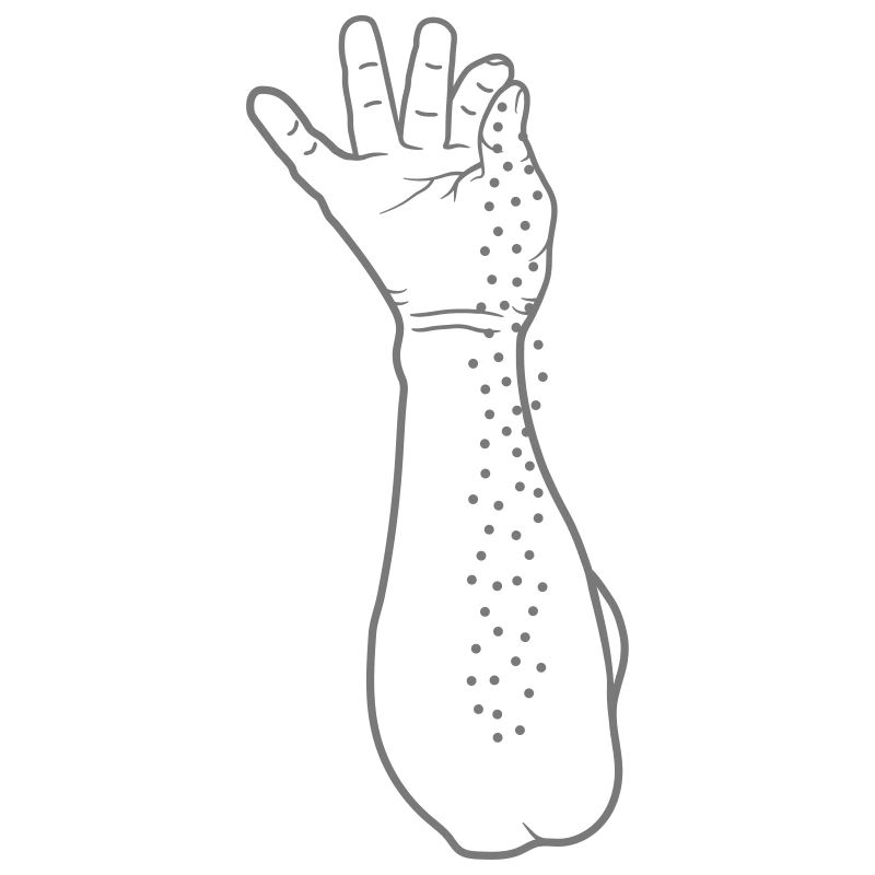 Conception de Salt Guy