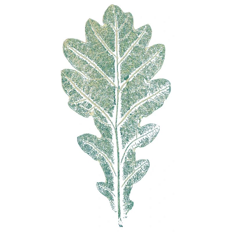 LEAF chêne / impression d'art WALD & Förster Design