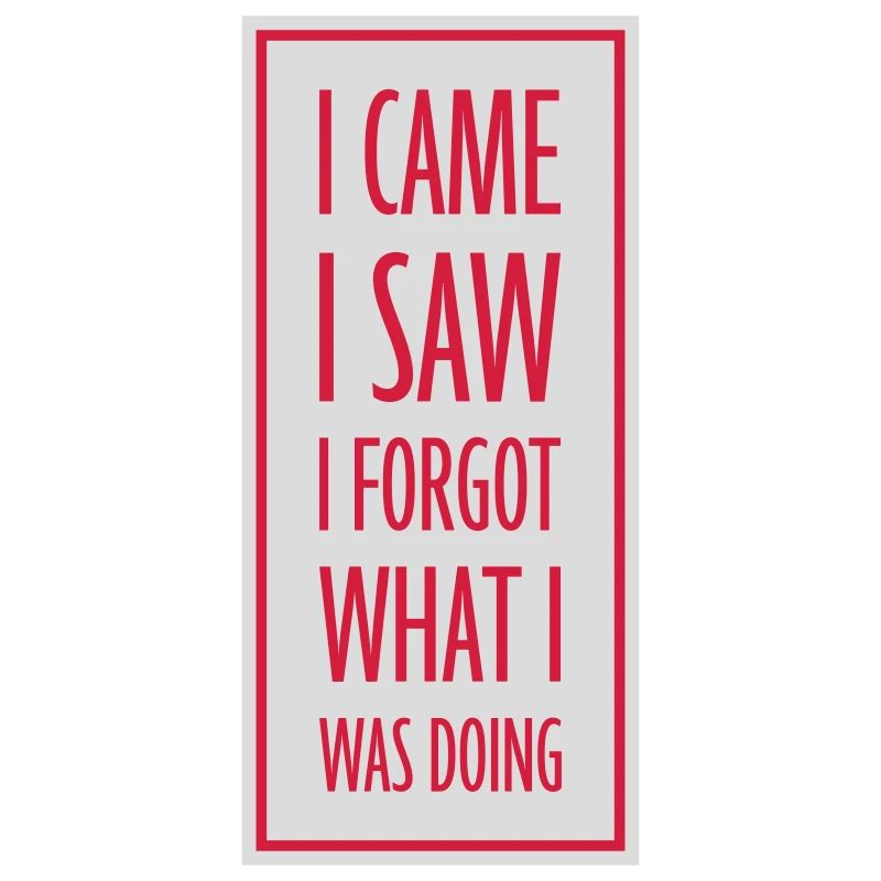I came saw forget
