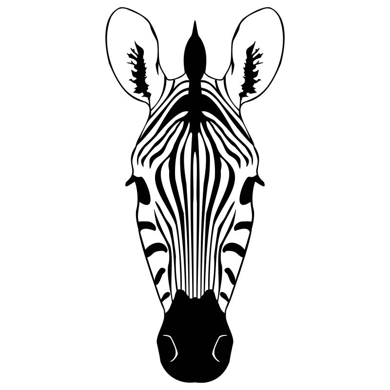 Zebra Illustration