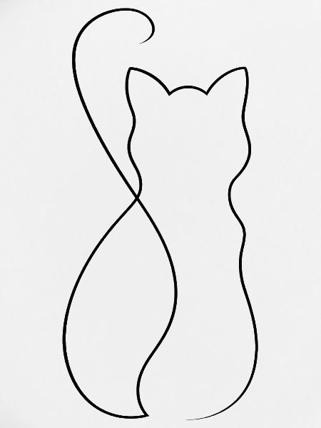 Katze