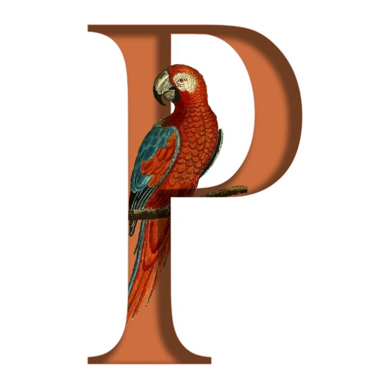Buchstabe P, Name, Buchstabe P