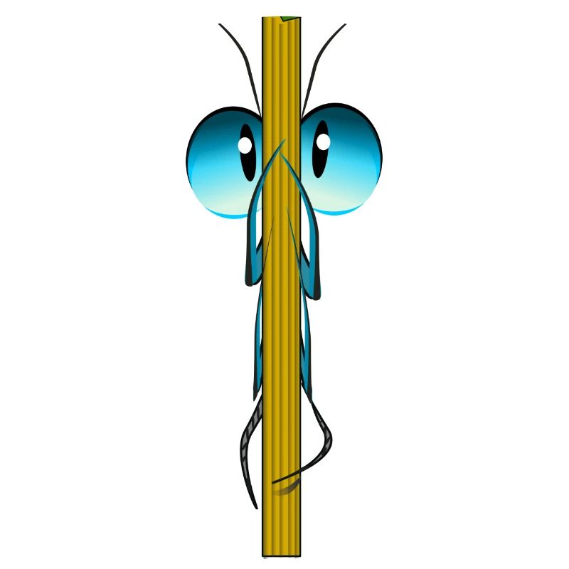 insecte