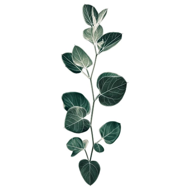 Plant Pattern