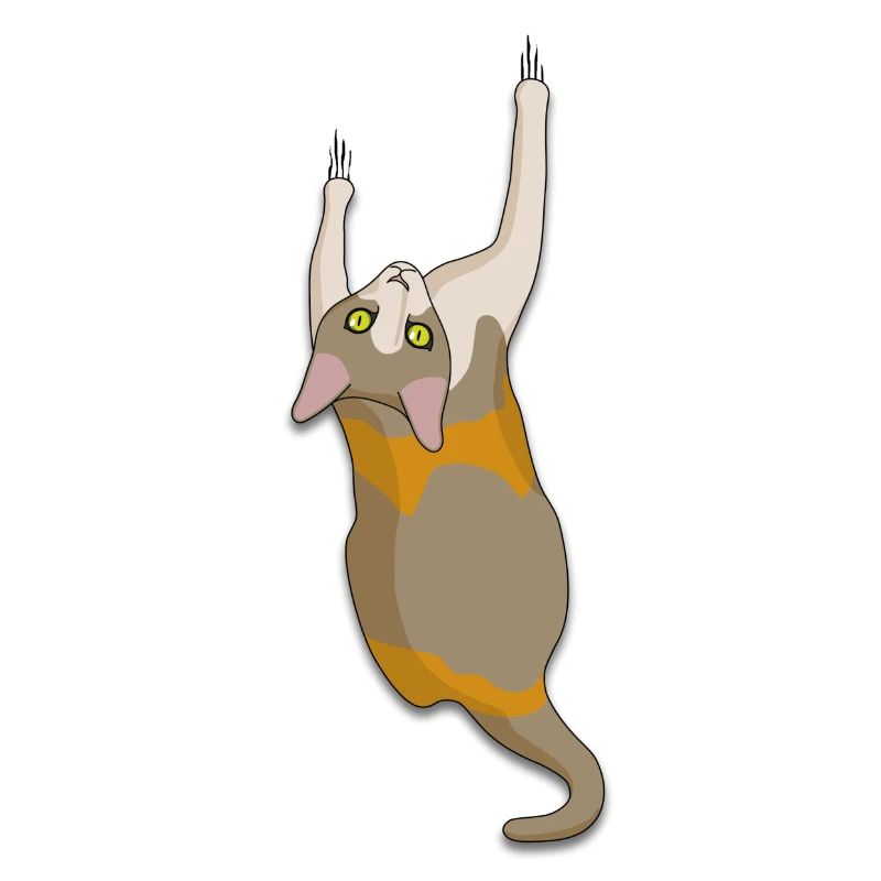 Chat grimpant