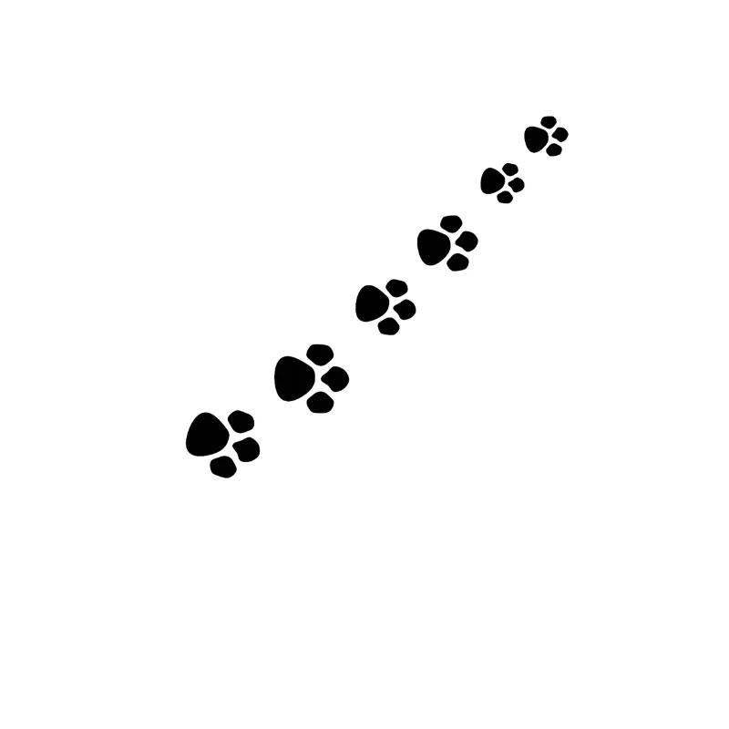 Patte de chat