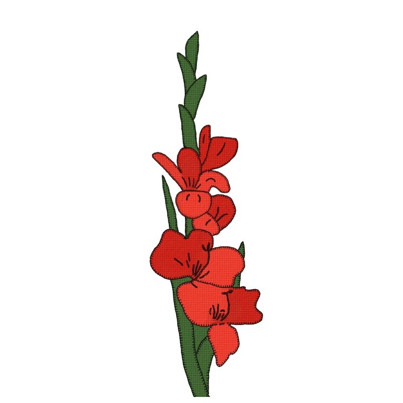 Gladiole