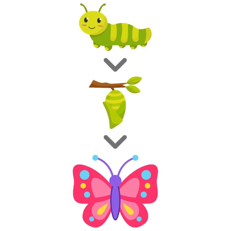 Transformation de chenille en papillon