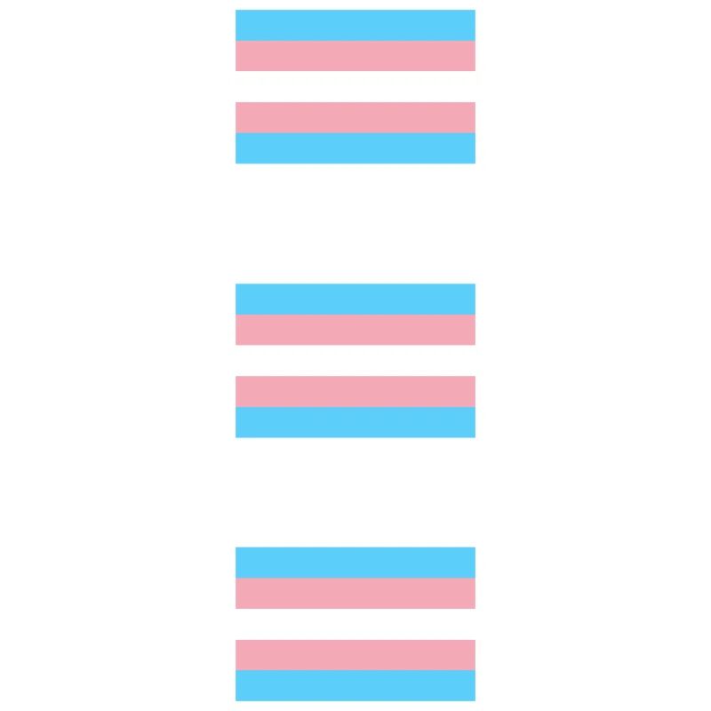 Trans Pride Flags  