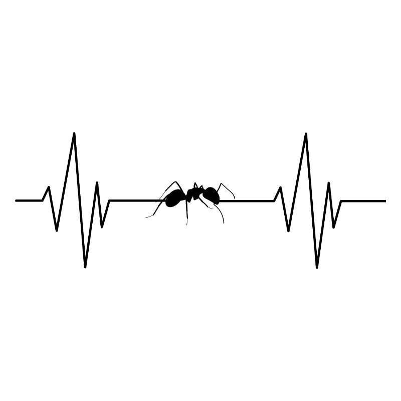 Ant insects