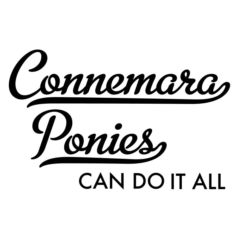 Connemara Pony