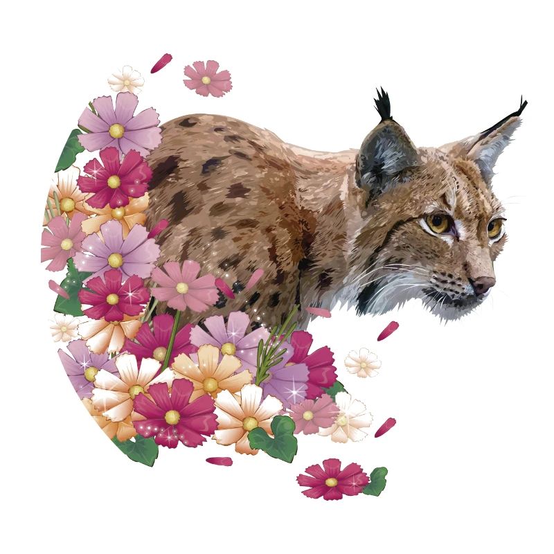 Luchs