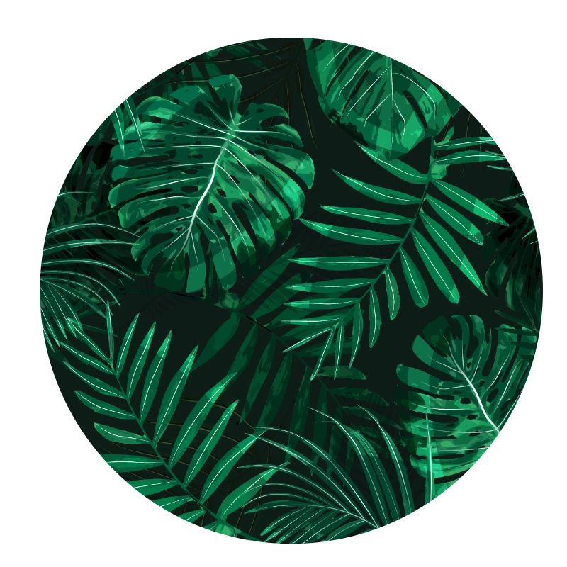 Fougère tropicale surmontée de feuilles de forêt tropicale
