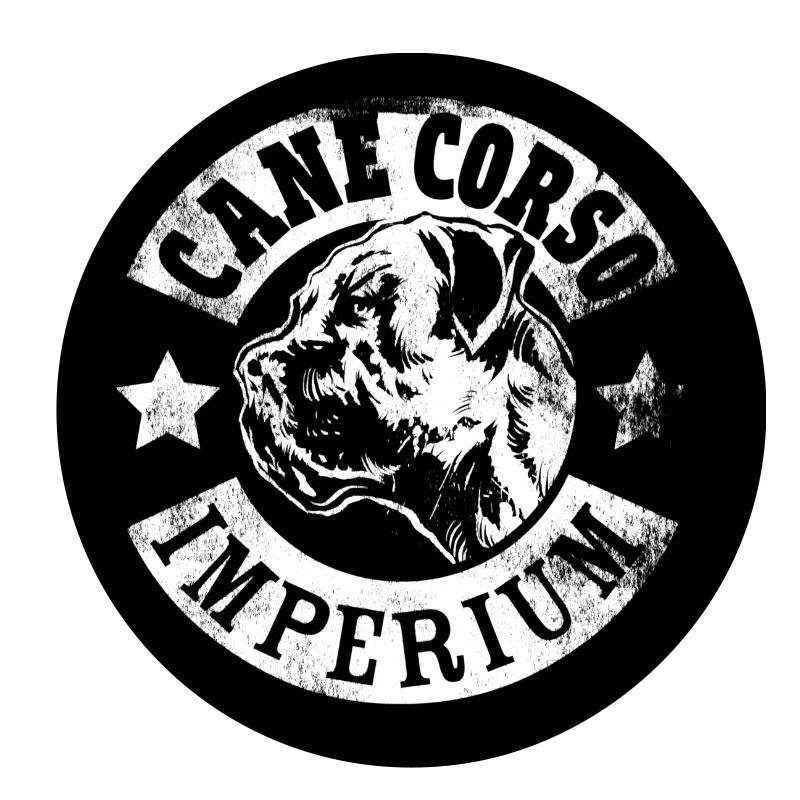 Cane Corso