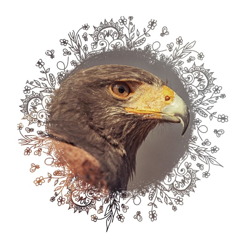 Harris Hawk mandala