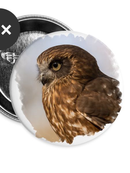 Owl design
