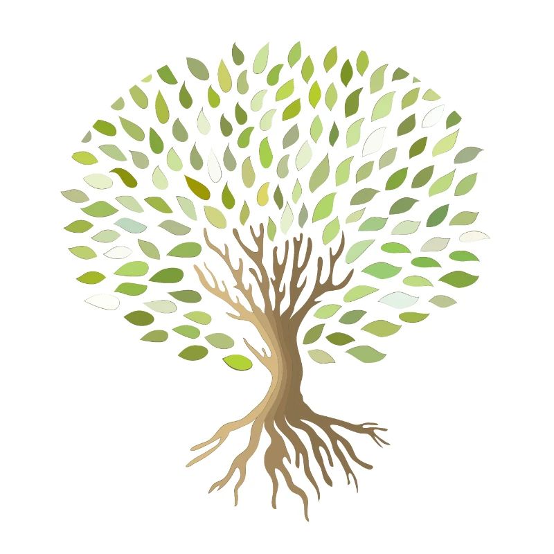 Baum