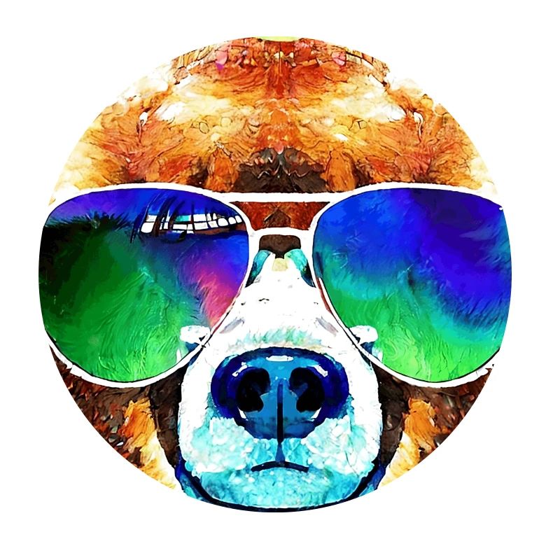 Ours cool avec lunettes d’aviateur