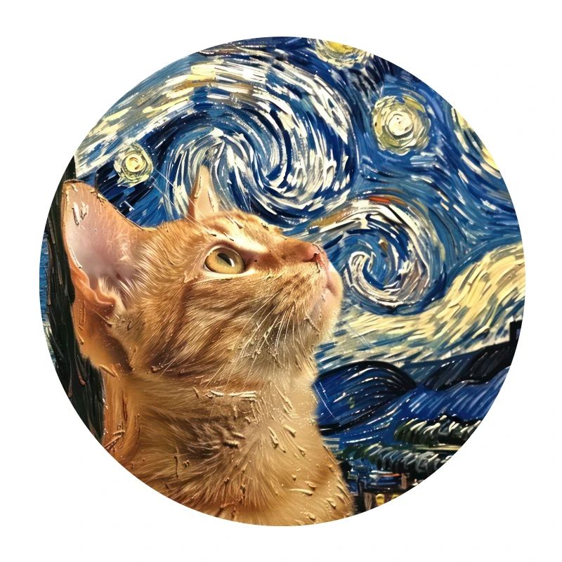 Chat, Motif De Chat