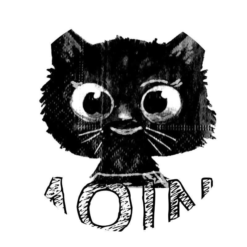 Moin, katze, bande dessinée, chaton