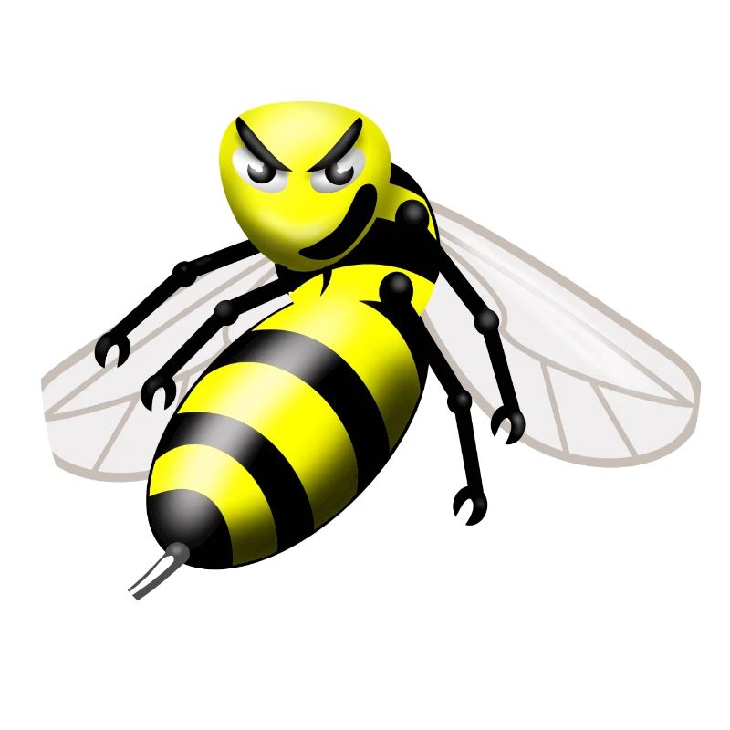 wasp