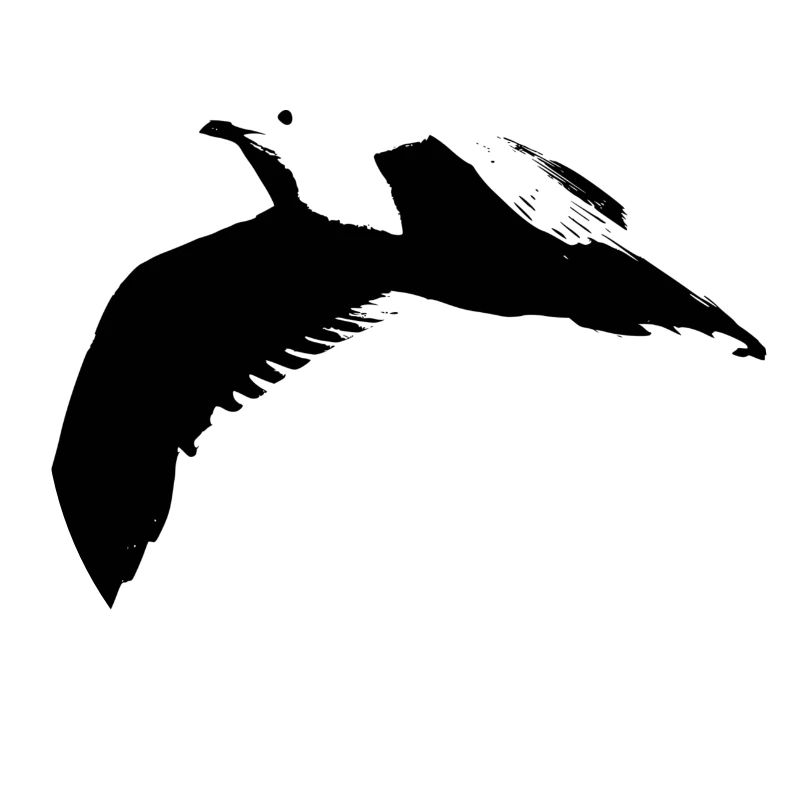 Möwe