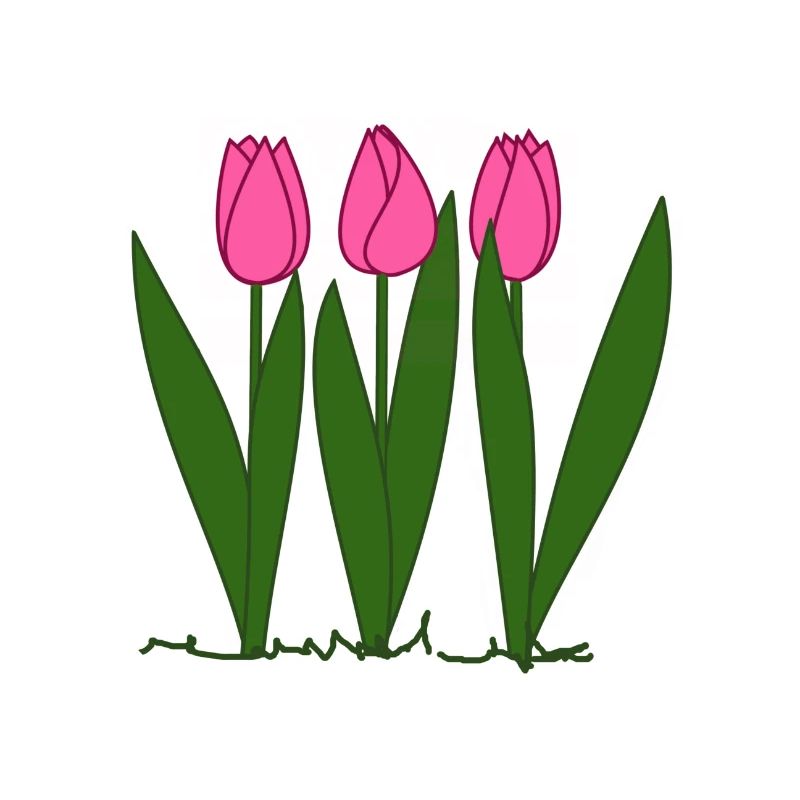 Pink tulips, spring, spring