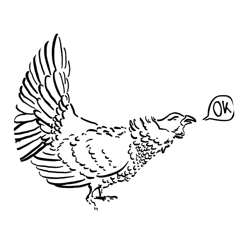calm grouse