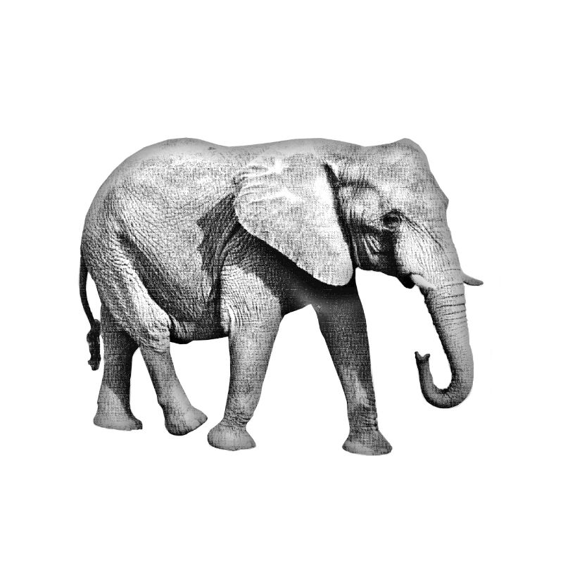 Elefant