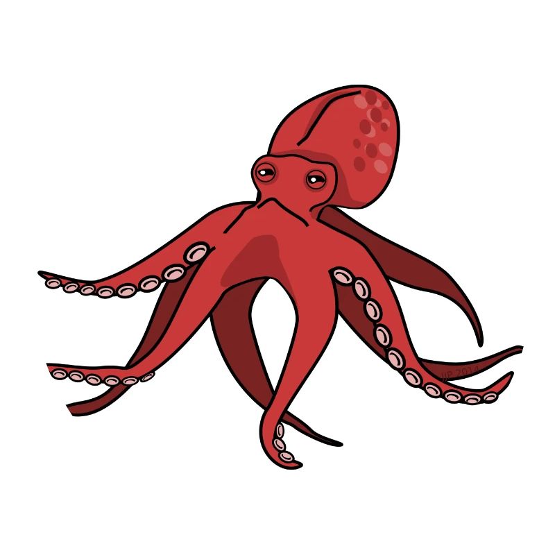squid giant octopus octopus octopus squid sepia fish