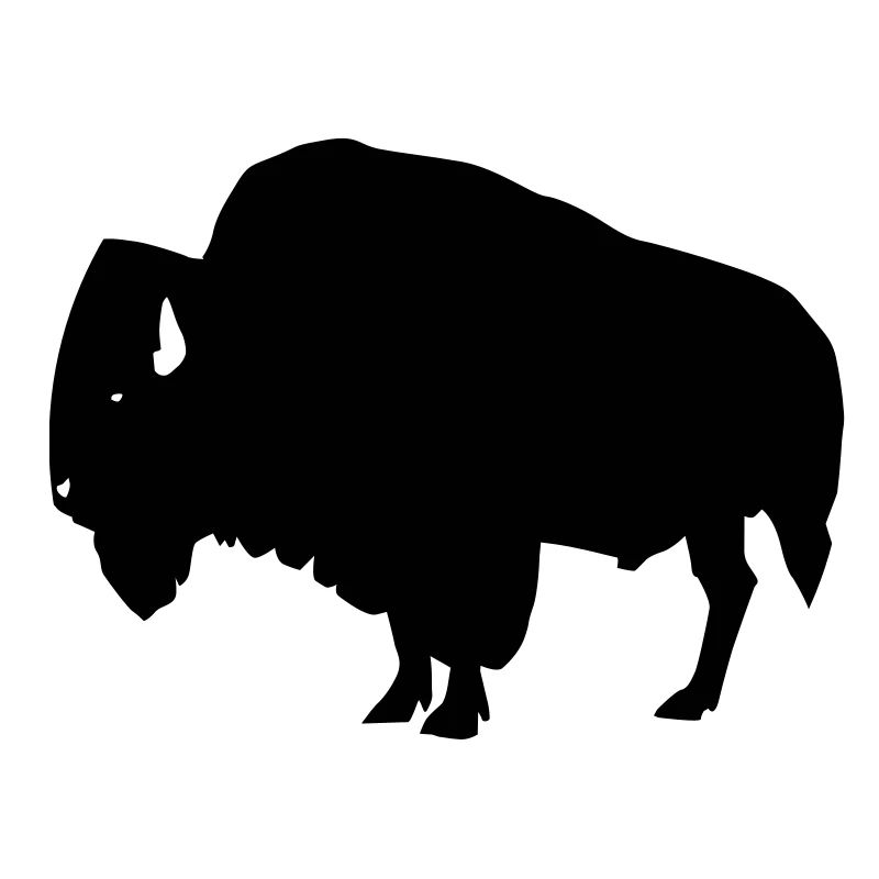 Bison
