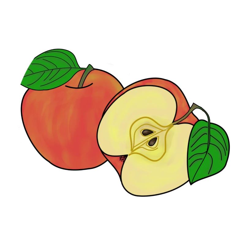 Whole and half apple