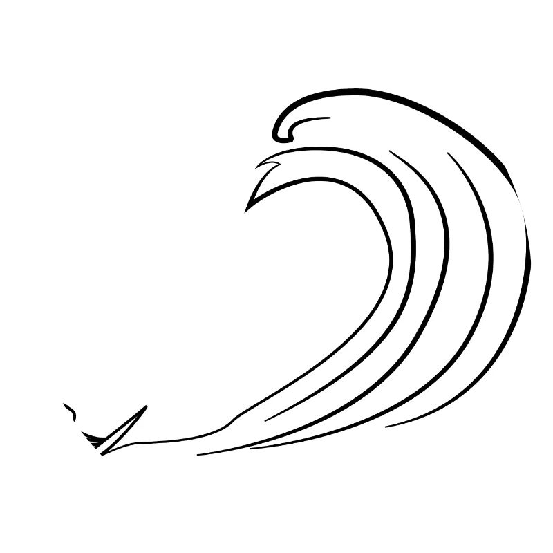 Surfer wave