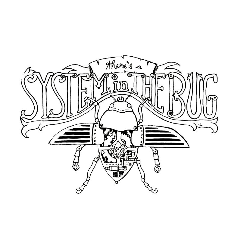 System in the Bug