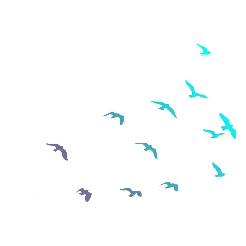 Migration des oiseaux