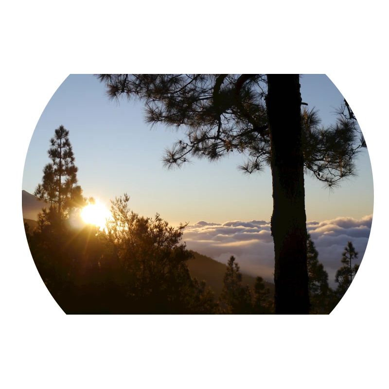 Teide, Tenerife