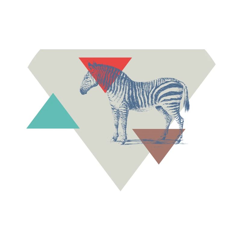 Zebra triangle design