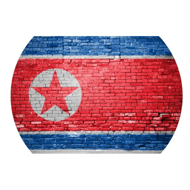 Drapeau de la Corée du Nord Graffiti sur mur de briques